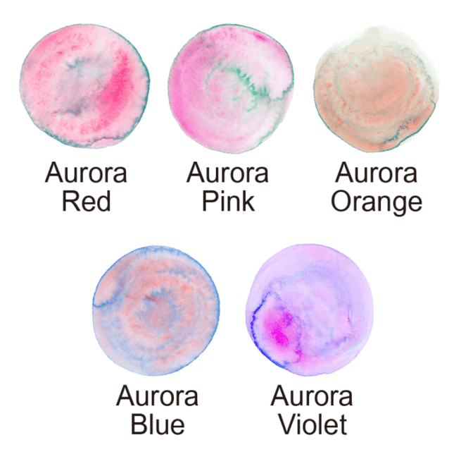 Kuretake Gansai Tambi akvarellisetti Granulating colors, 5 väriä - Image 3