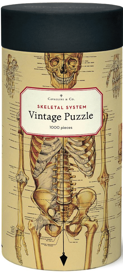 Cavallini palapeli: Skeletal System, 1000 palaa