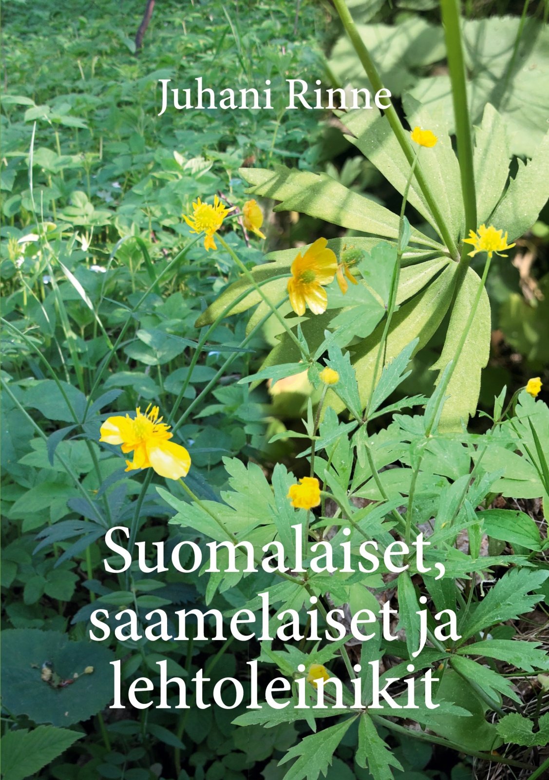 Suomalaiset, saamelaiset ja lehtoleinikit