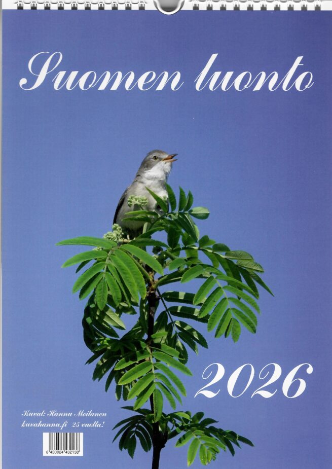 Suomen luonto 2026 seinäkalenteri