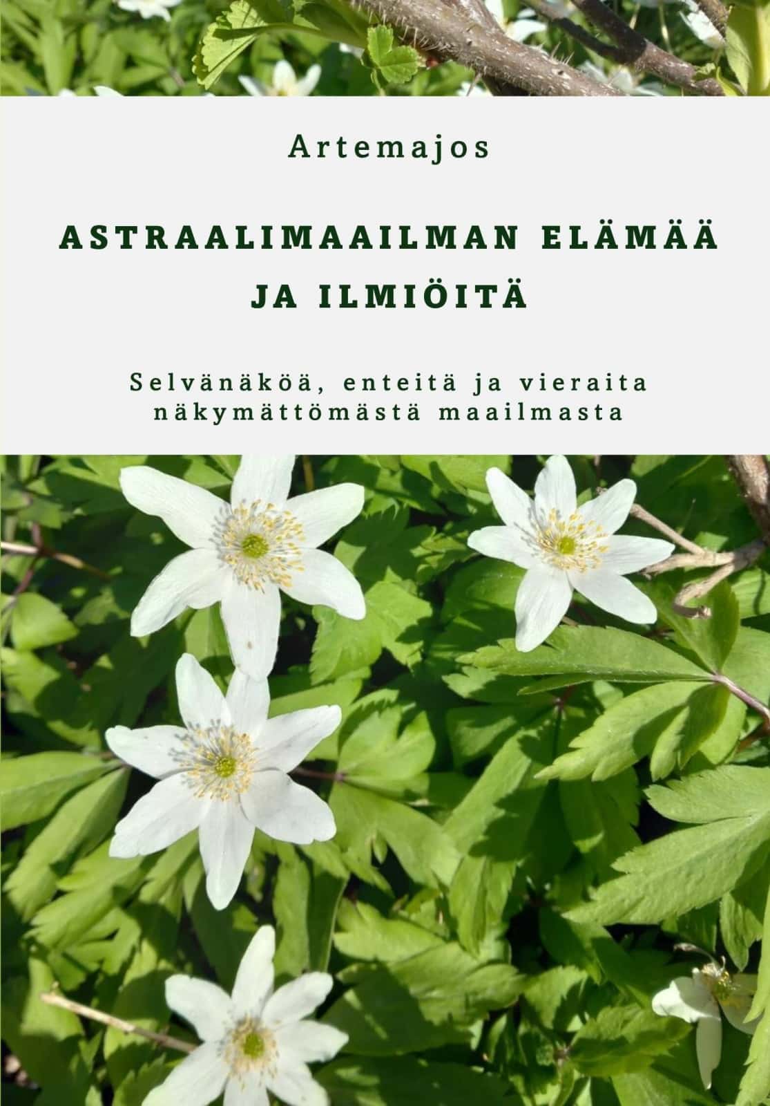 Astraalimaailman elämää ja ilmiöitä : Selvänäköä, enteitä ja vieraita näkymättömästä maailmasta