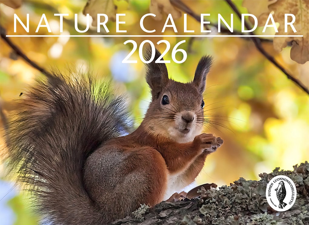 Nature calendar 2026, englanninkielinen