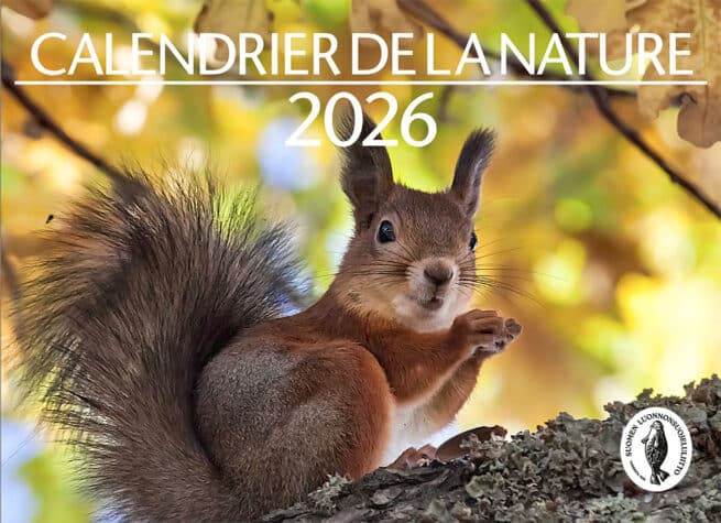 Calendrier de la nature 2026, ranskankielinen