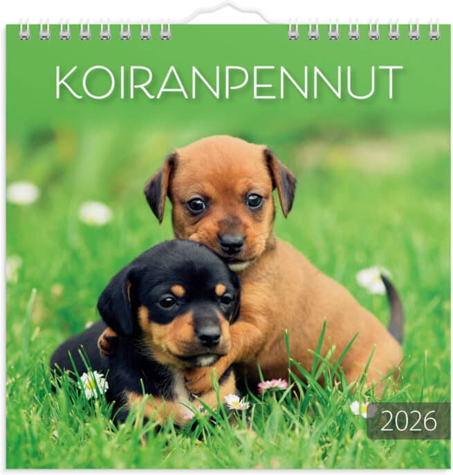 Koiranpennut 2026 seinäkalenteri