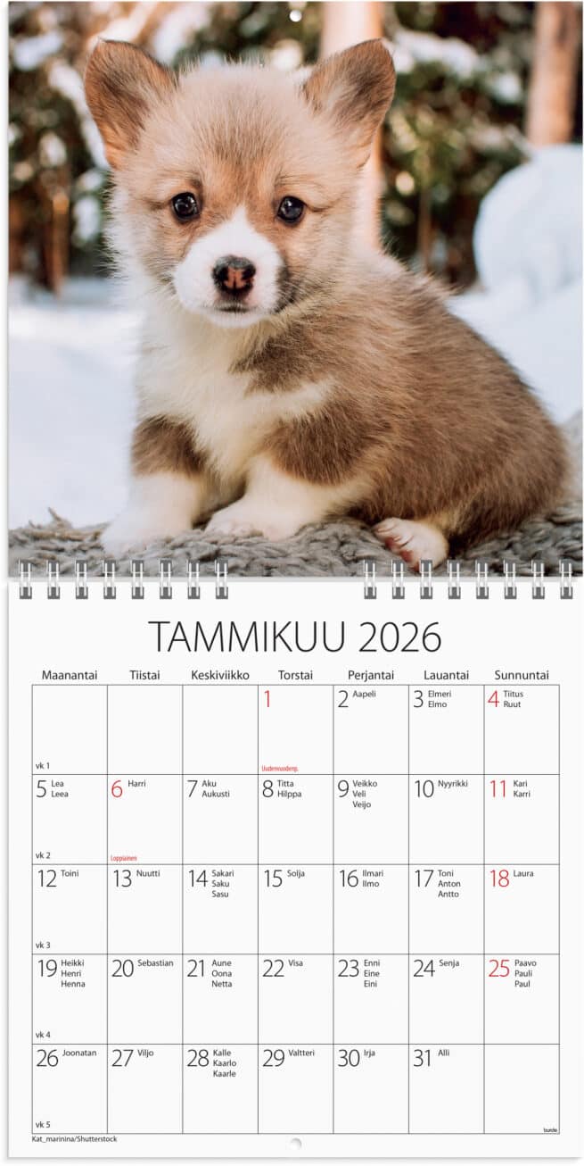 Koiranpennut 2026 seinäkalenteri - Image 2
