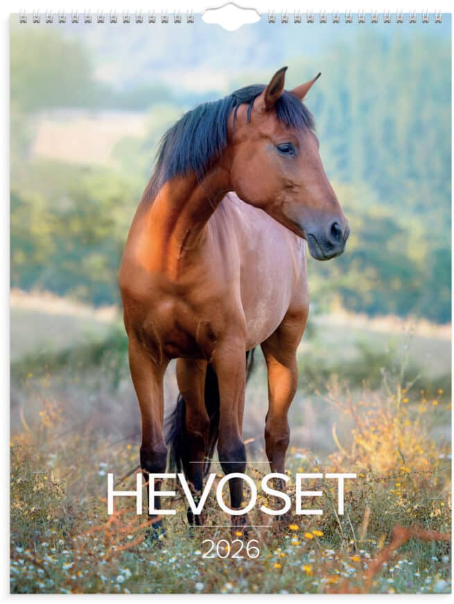 Hevoset 2026 seinäkalenteri