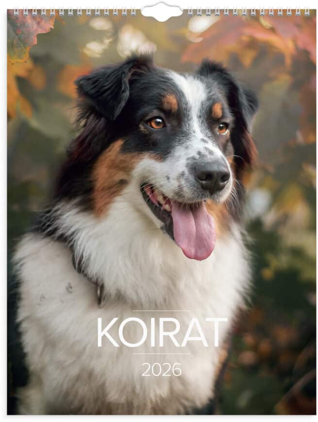 Koirat 2026 seinäkalenteri