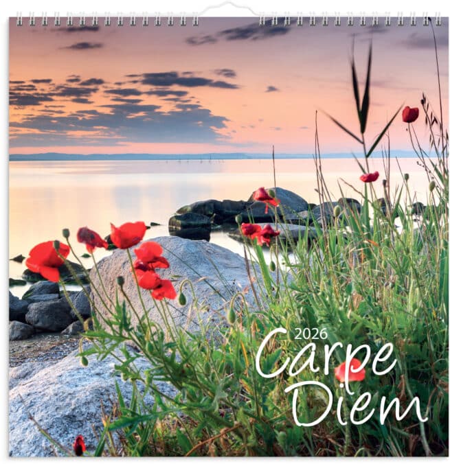 Carpe Diem 2026 seinäkalenteri