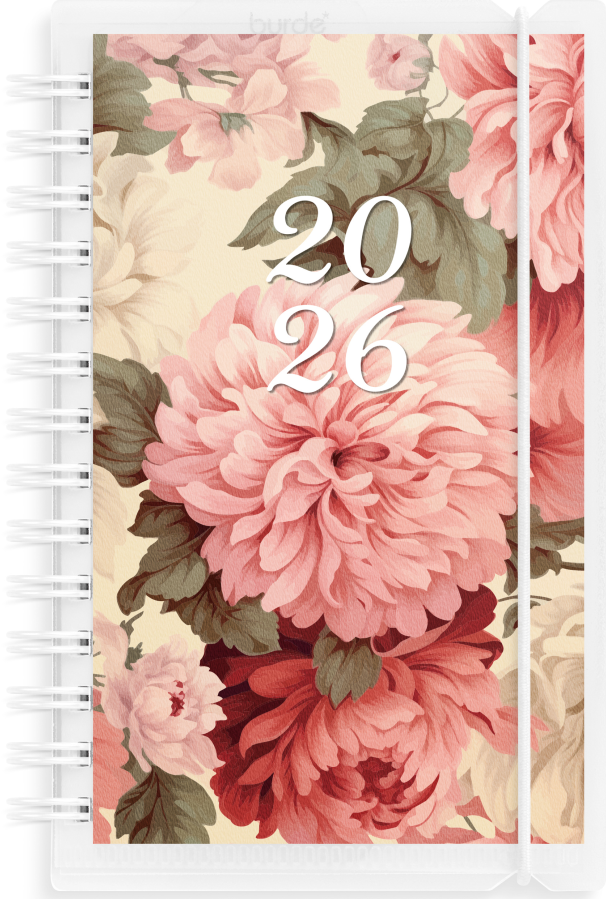 Exclusive 4 in 1 2026
