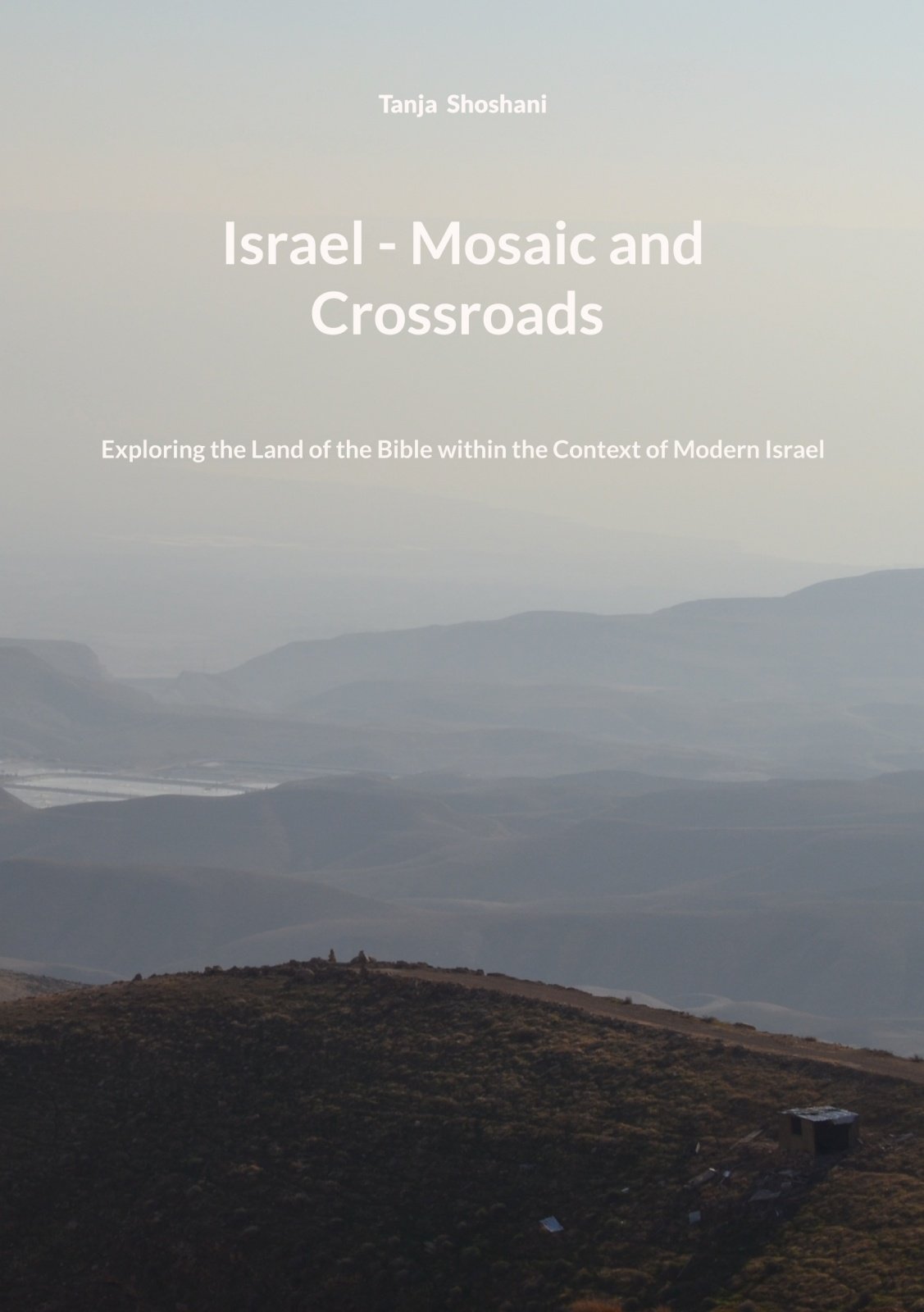 Israel : mosaic and crossroads