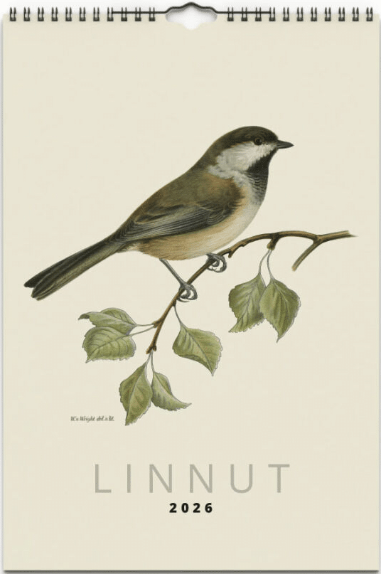Art Collection Linnut 2026 seinäkalenteri