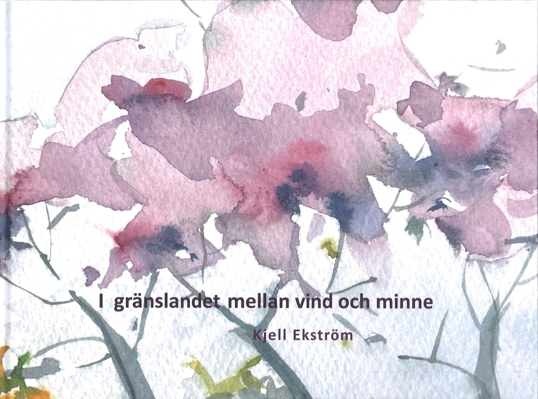 I gränslandet mellan vind och minne