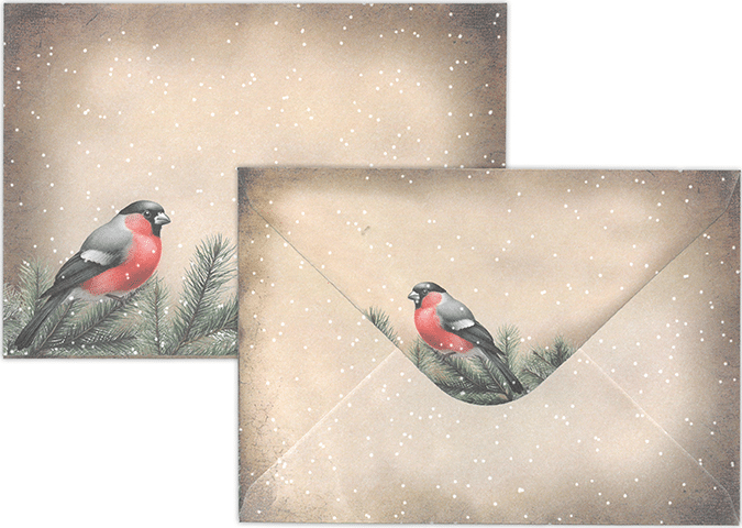 Kirjekuori C6 punatulkku vintage, 10 kpl/pss