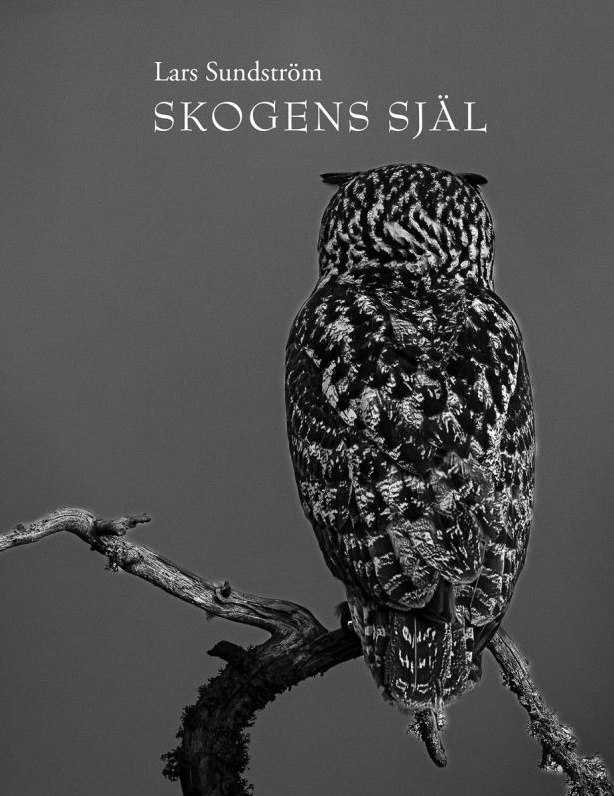 Skogens själ Suomen vanhin kirjakauppa - Vuodesta 1899