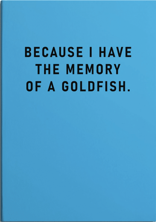 Ohh deer A5 muistikirja, Because I have a memory of a goldfish Suomen vanhin kirjakauppa - Vuodesta 1899