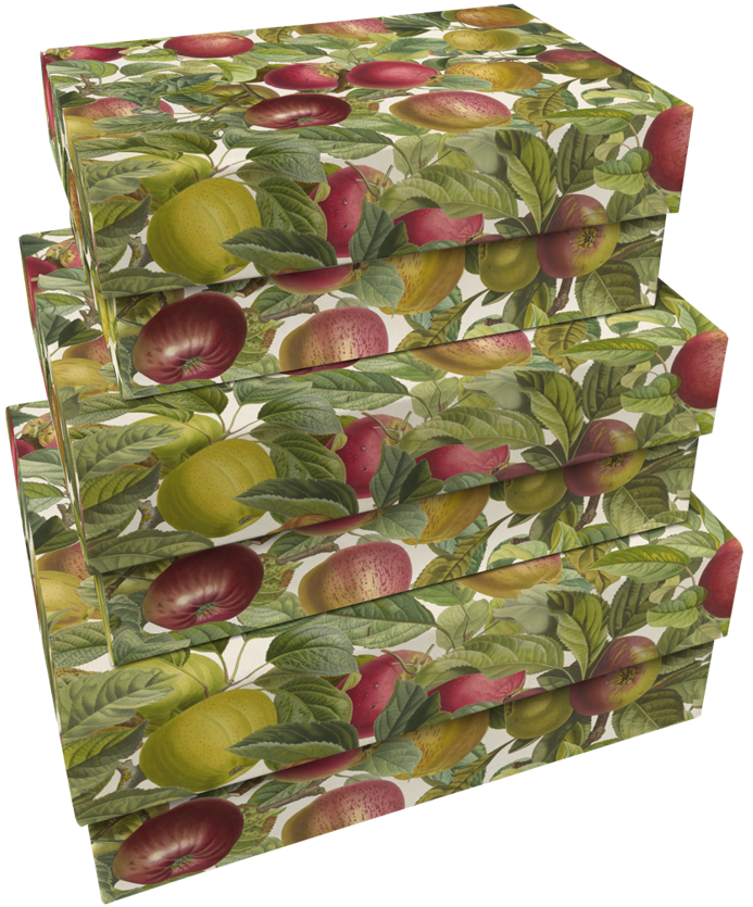 Sköna Ting lahjarasia Apples, 3 kpl/pkt Sköna Ting lahjarasia Apples, 3 kpl/pkt Suomen vanhin kirjakauppa - Vuodesta 1899