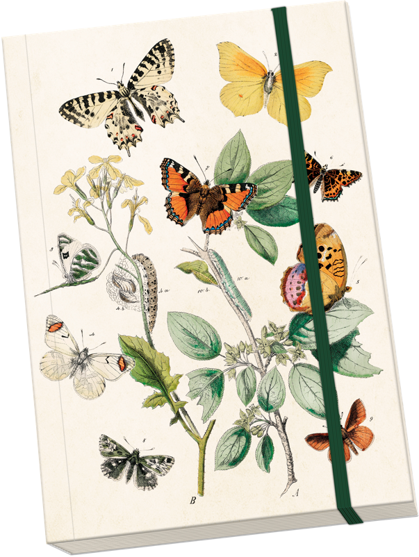 Sköna Ting muistikirja A5, Butterflies Sköna Ting muistikirja A5, Butterflies Suomen vanhin kirjakauppa - Vuodesta 1899