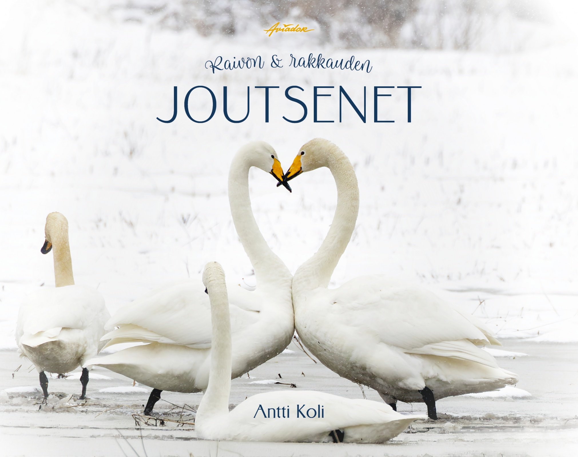 Raivon ja rakkauden joutsenet Raivon ja rakkauden joutsenet Suomen vanhin kirjakauppa - Vuodesta 1899