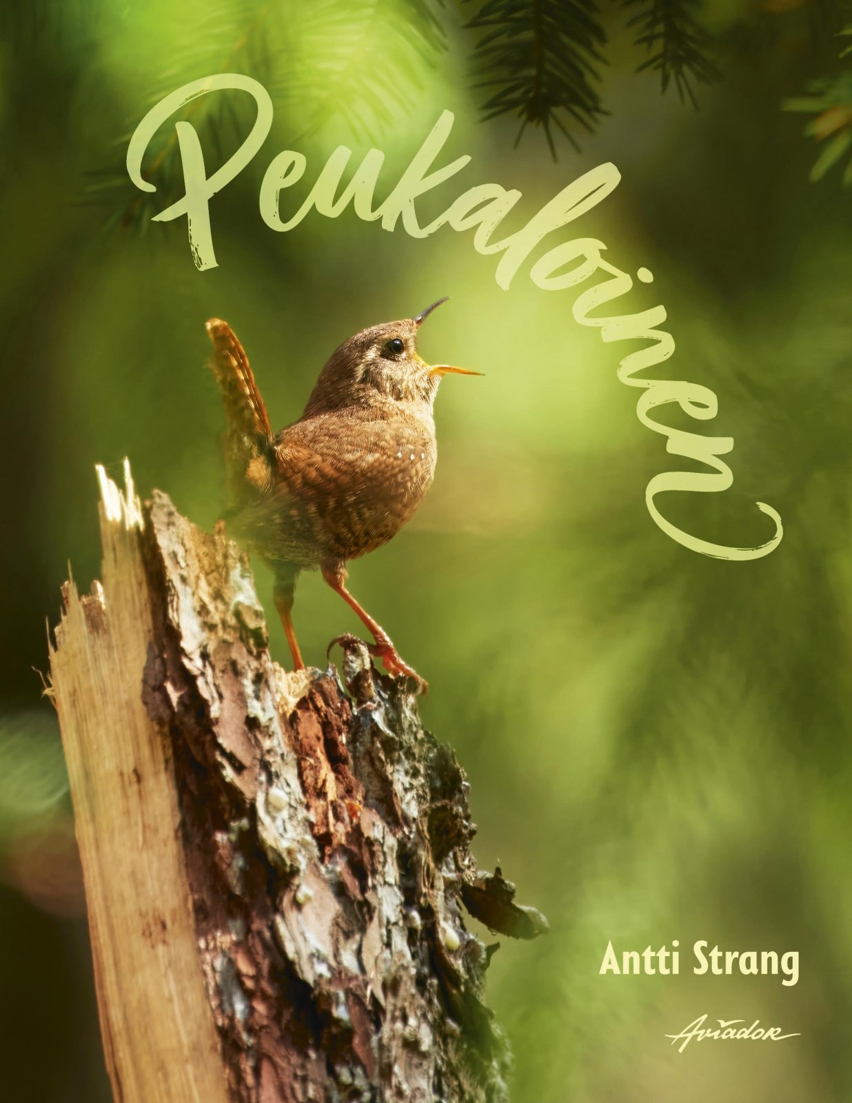 Peukaloinen Peukaloinen Suomen vanhin kirjakauppa - Vuodesta 1899