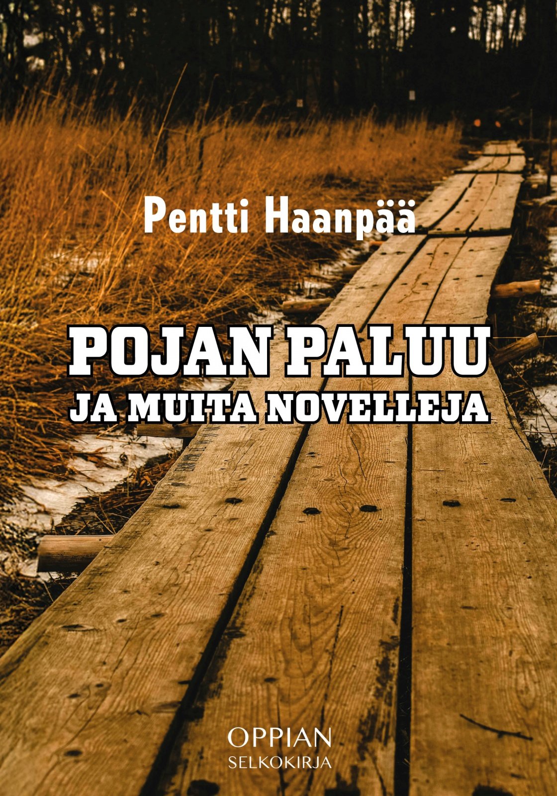 Pojan paluu ja muita novelleja (selkokirja) Pojan paluu ja muita novelleja (selkokirja) Suomen vanhin kirjakauppa - Vuodesta 1899