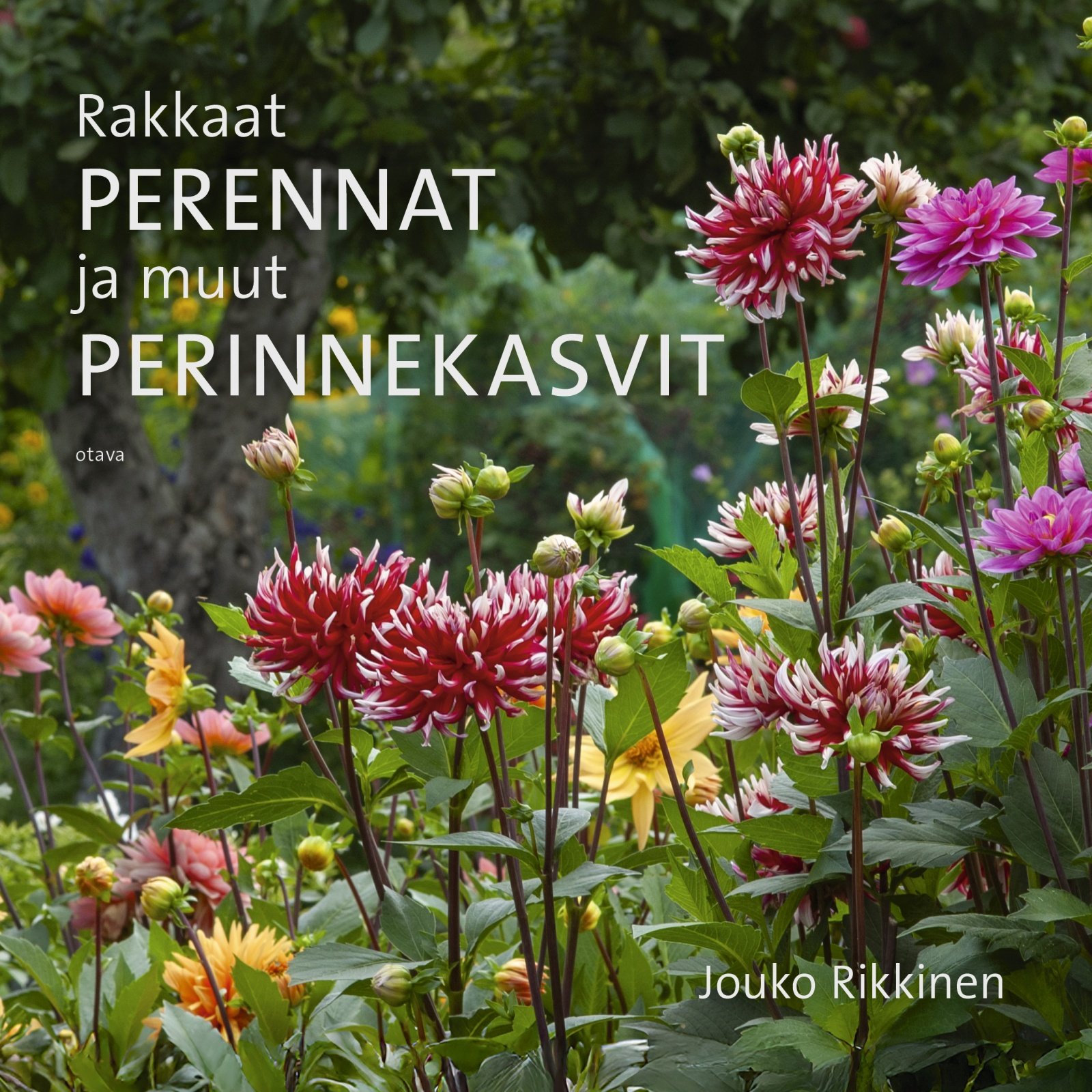 Rakkaat perennat ja muut perinnekasvit Rakkaat perennat ja muut perinnekasvit Suomen vanhin kirjakauppa - Vuodesta 1899
