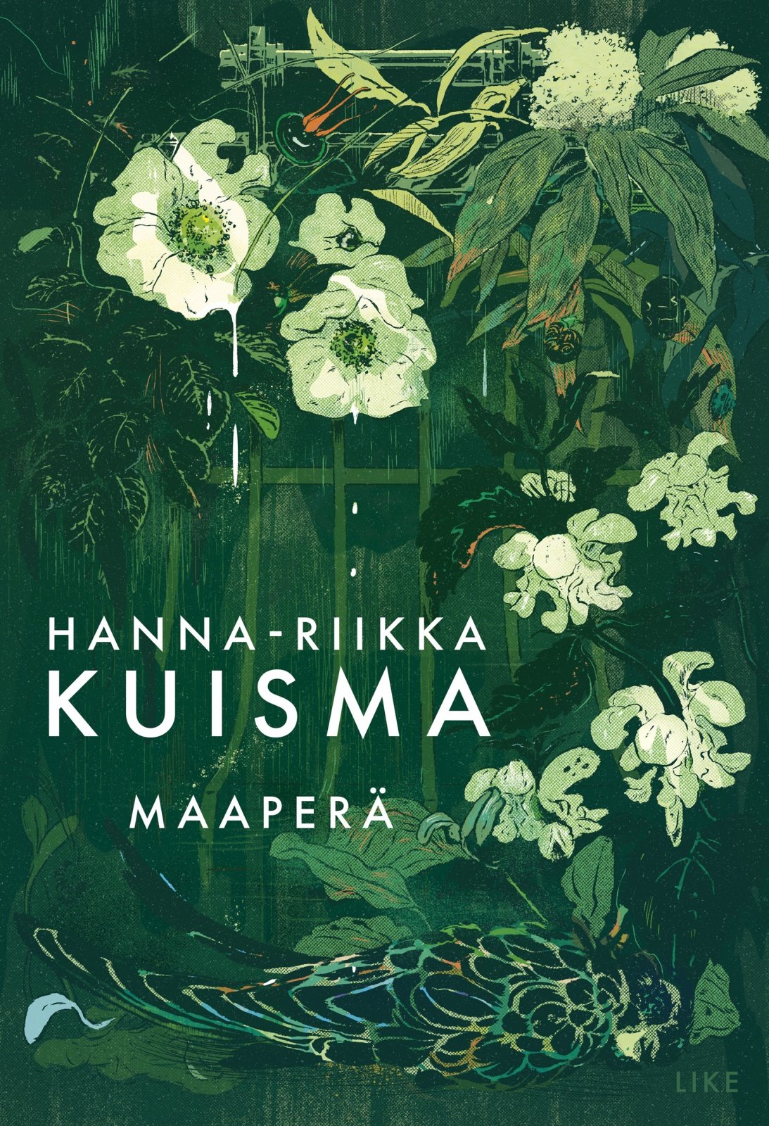 Maaperä Suomen vanhin kirjakauppa - Vuodesta 1899
