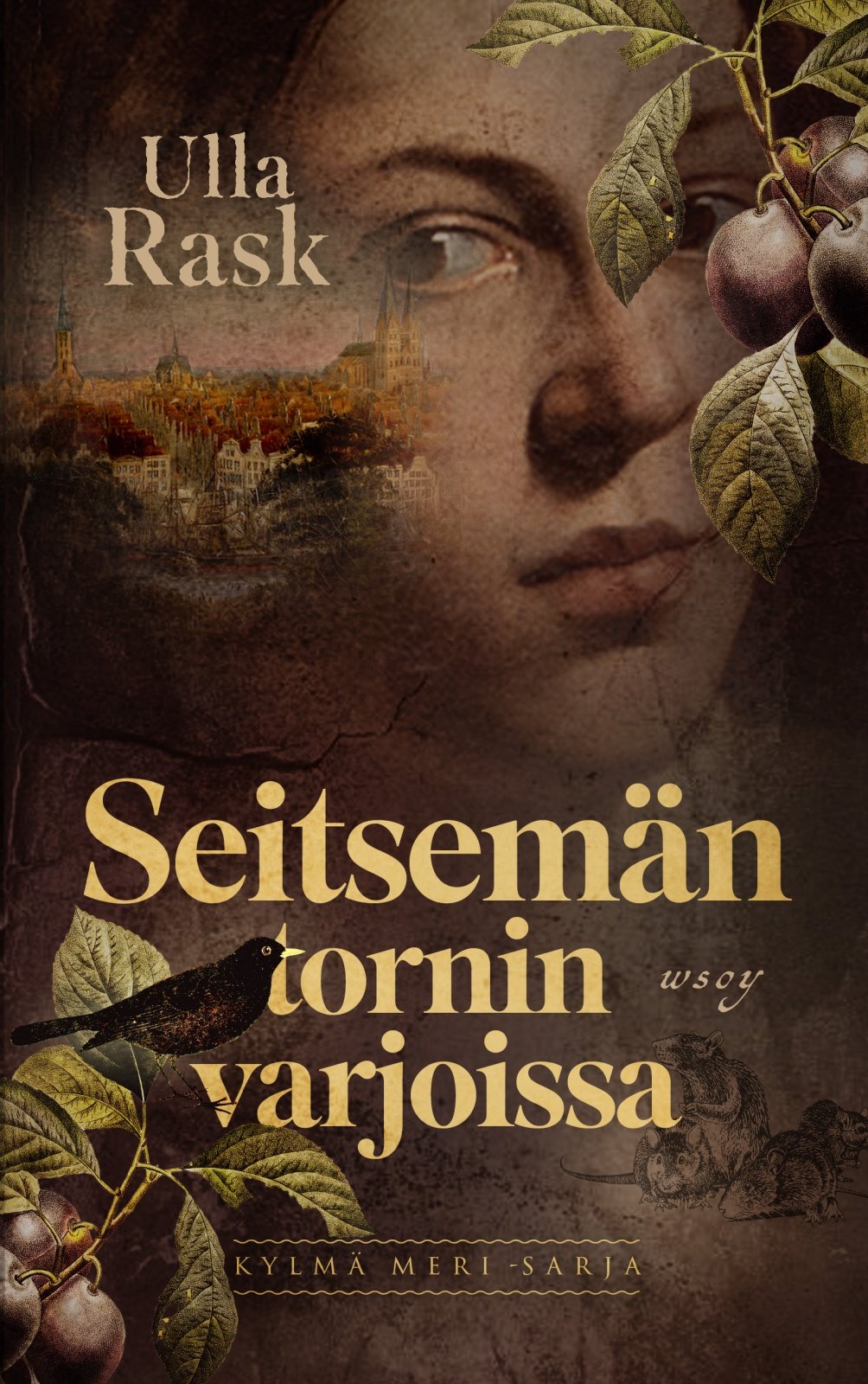 Seitsemän tornin varjoissa Seitsemän tornin varjoissa Suomen vanhin kirjakauppa - Vuodesta 1899