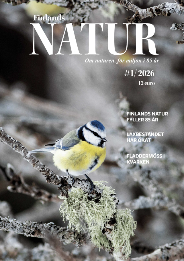 Finlands Natur – Om naturen, för miljön #1/2026 Finlands Natur – Om naturen, för miljön #1/2026 Suomen vanhin kirjakauppa - Vuodesta 1899