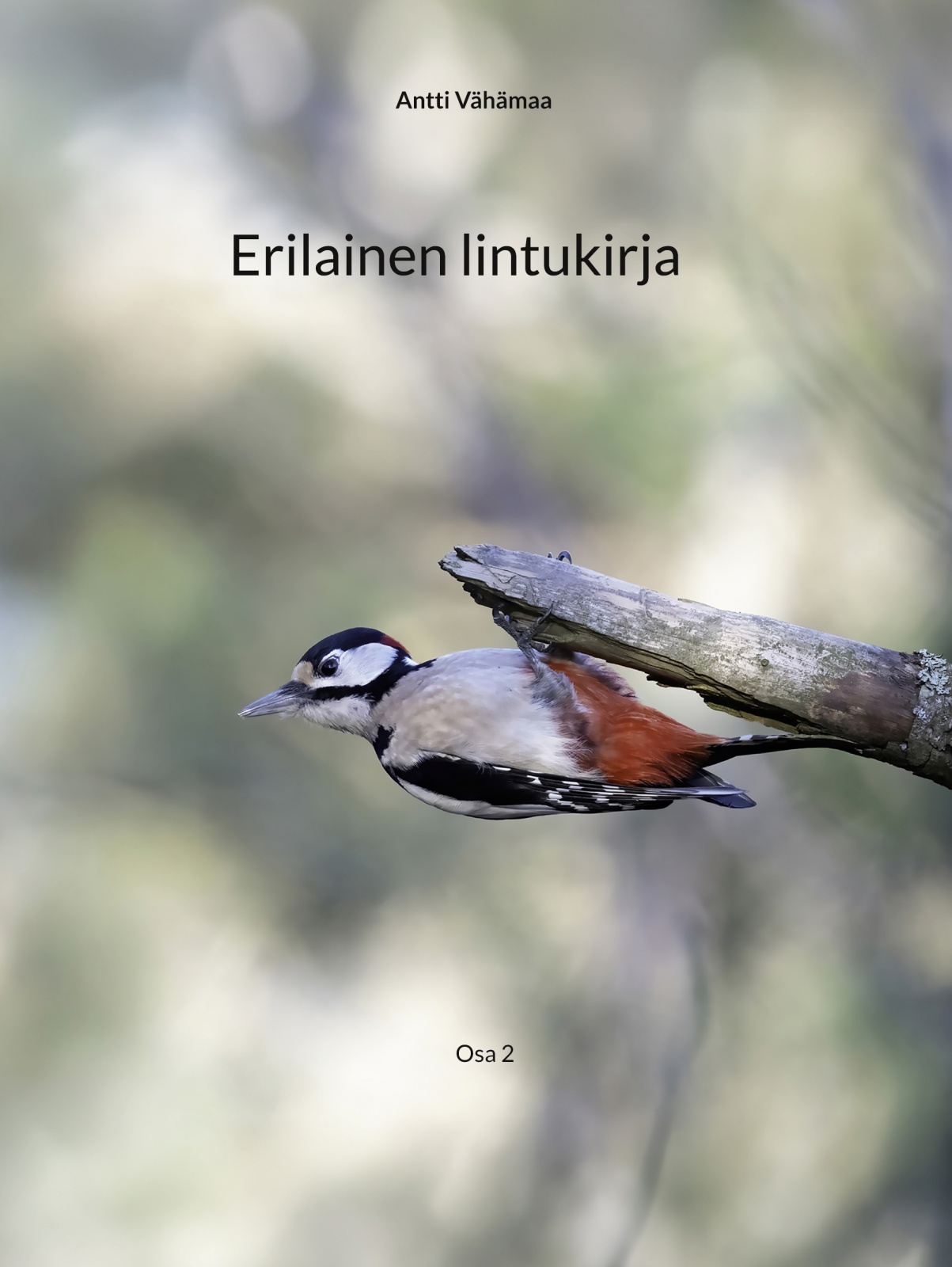 Erilainen lintukirja – Osa 2 Erilainen lintukirja – Osa 2 Suomen vanhin kirjakauppa - Vuodesta 1899
