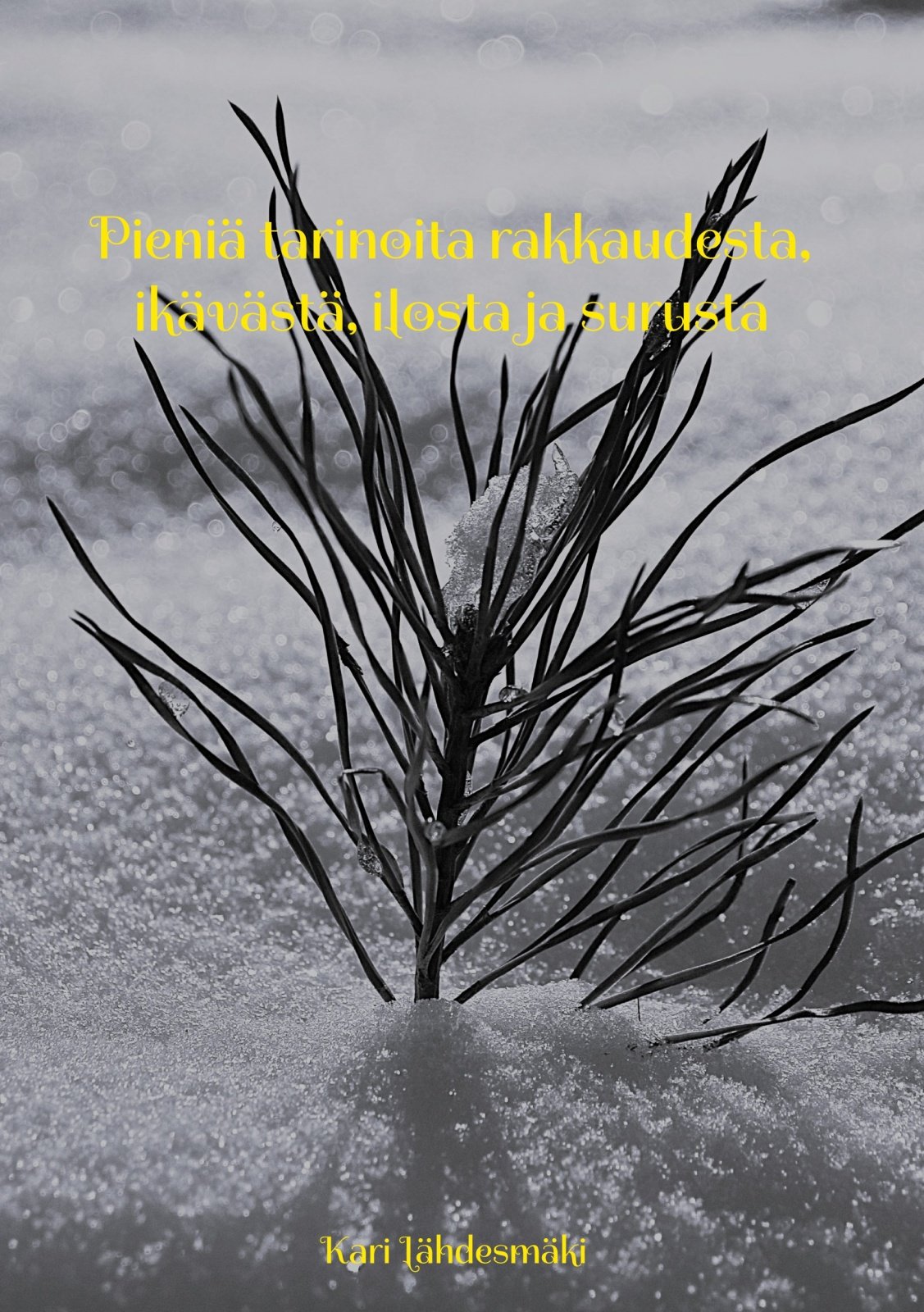 Pieniä tarinoita rakkaudesta, ikävästä, ilosta ja surusta Pieniä tarinoita rakkaudesta, ikävästä, ilosta ja surusta Suomen vanhin kirjakauppa - Vuodesta 1899