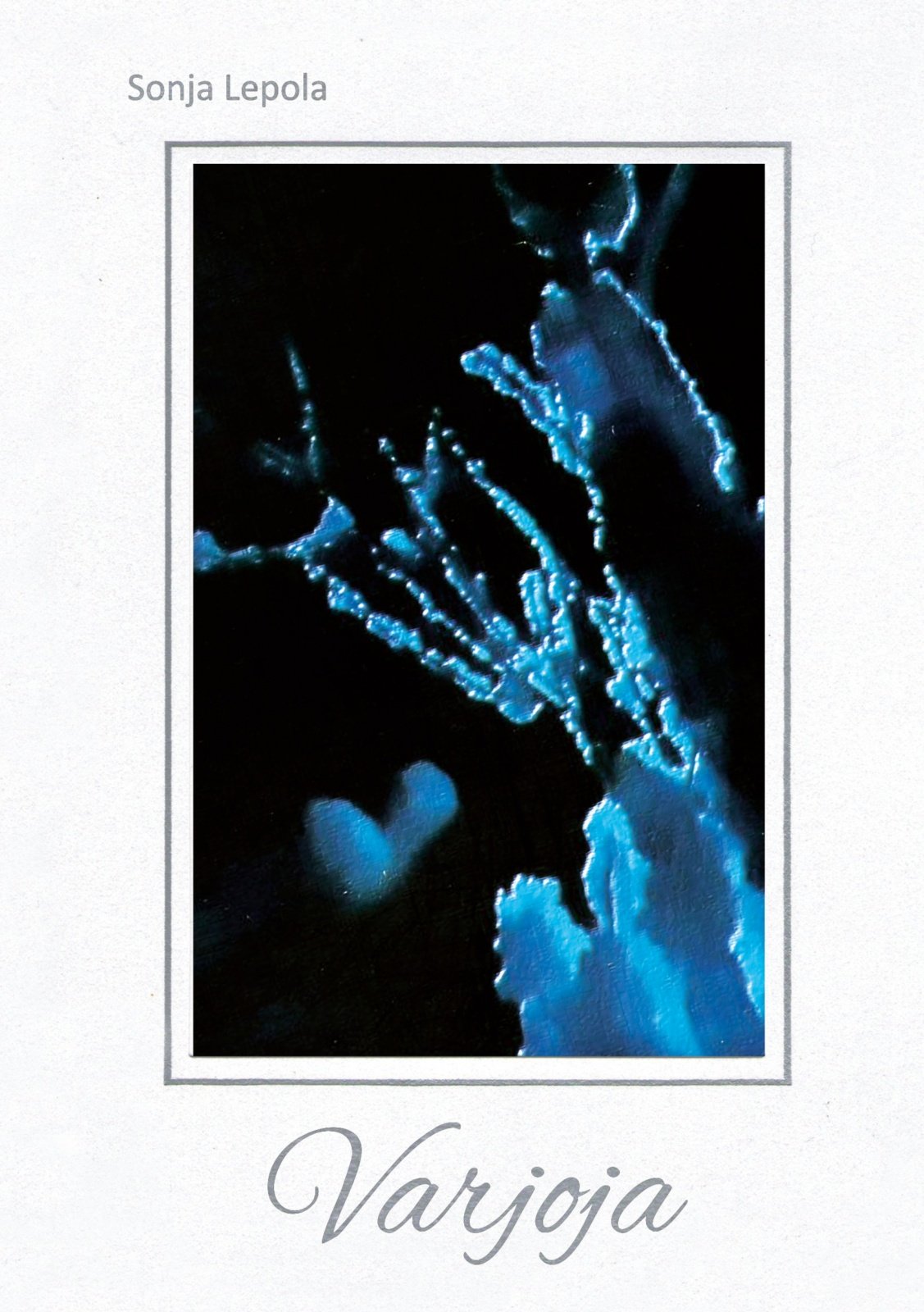 Varjoja Varjoja Suomen vanhin kirjakauppa - Vuodesta 1899