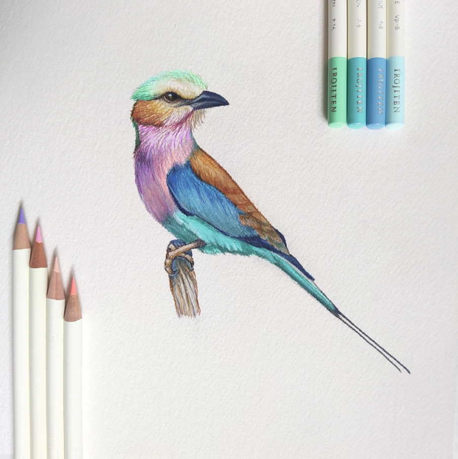 Tombow Irojiten värikynäsetti Woodlands, 30 väriä Tombow Irojiten värikynäsetti Woodlands, 30 väriä - Image 5