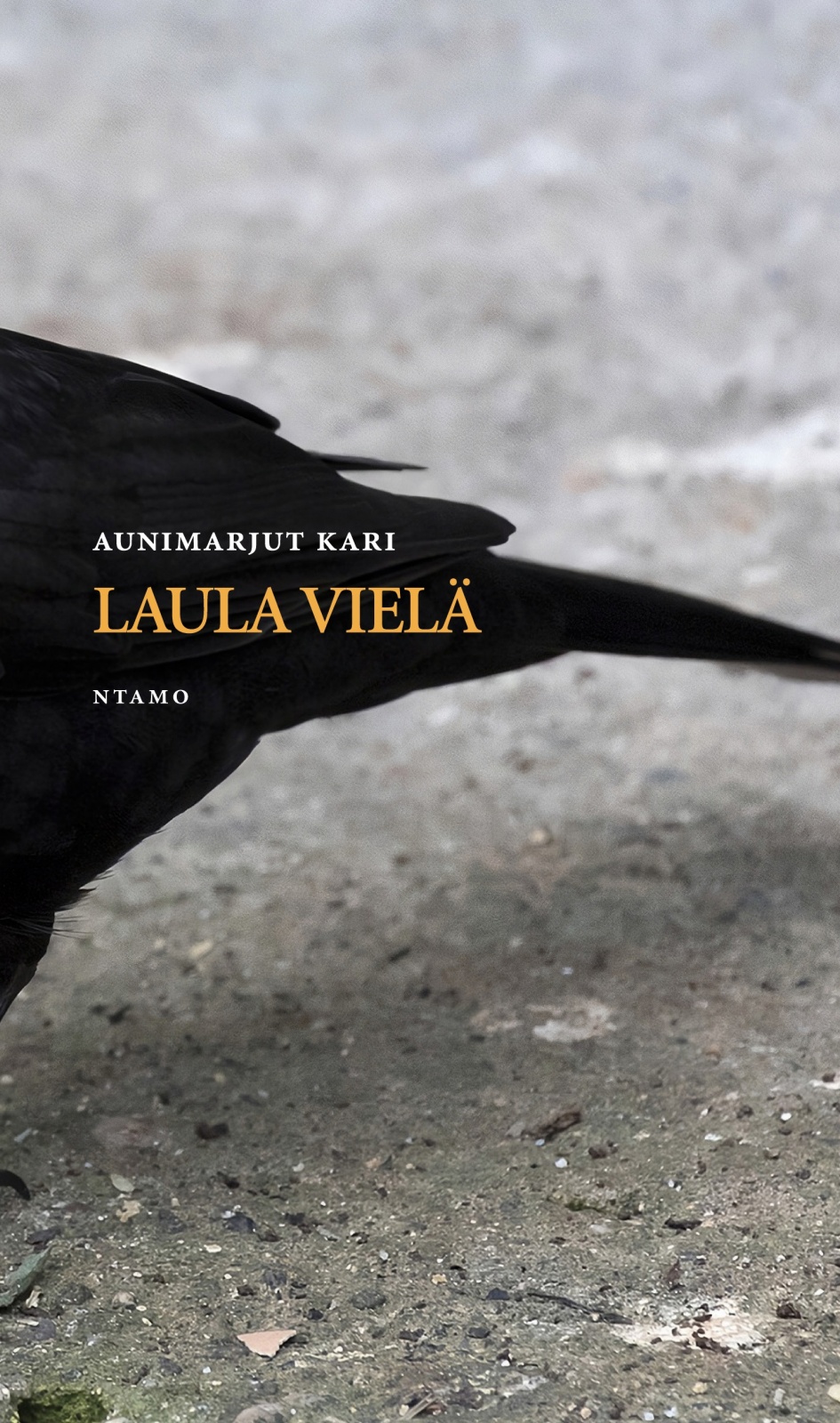Laula vielä Laula vielä Suomen vanhin kirjakauppa - Vuodesta 1899