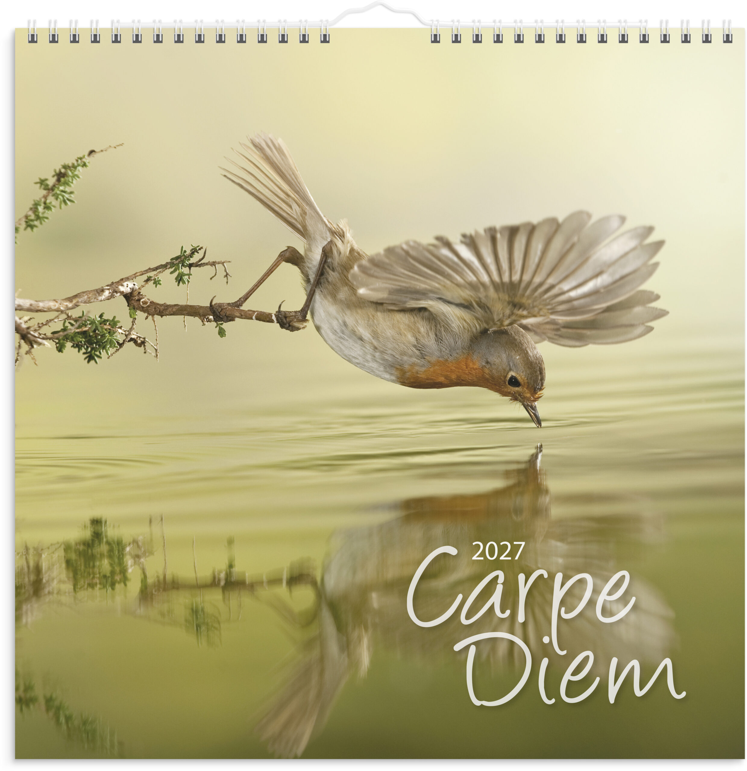 Carpe Diem 2027 Carpe Diem 2027 Suomen vanhin kirjakauppa - Vuodesta 1899