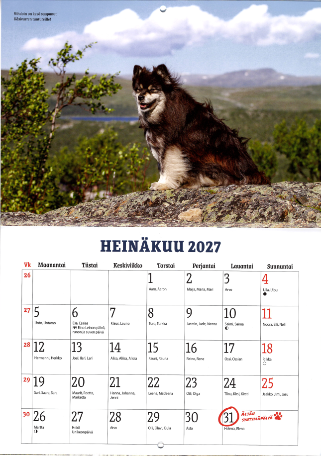 Äijä-koiran vuosikalenteri 2027 Äijä-koiran vuosikalenteri 2027 - Image 2