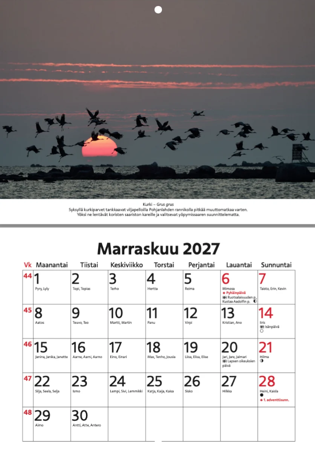 Itämeren saaristolintuja 2027 seinäkalenteri Itämeren saaristolintuja 2027 seinäkalenteri - Image 3
