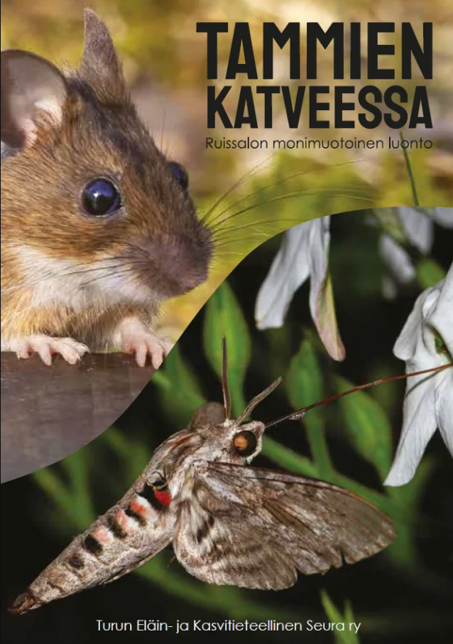 Tammien katveessa: Ruissalon monimuotoinen luonto Suomen vanhin kirjakauppa - Vuodesta 1899