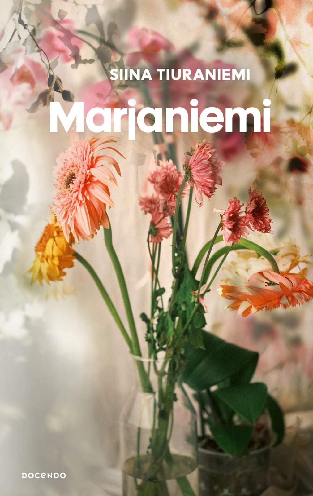 Marjaniemi Marjaniemi Suomen vanhin kirjakauppa - Vuodesta 1899