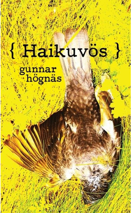 ( Haikuvös ) : abstrakt, urvisare Suomen vanhin kirjakauppa - Vuodesta 1899