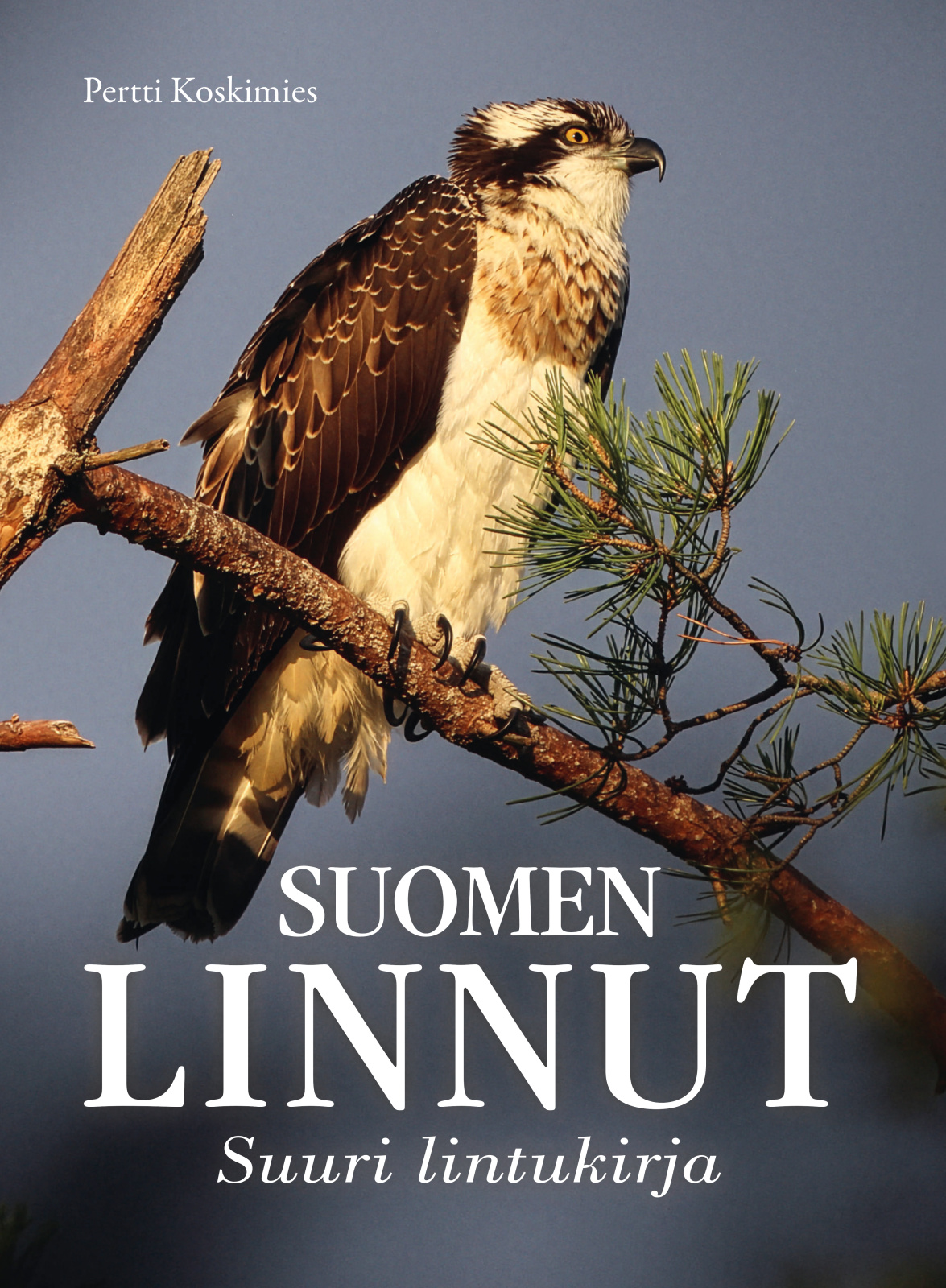 Suomen linnut : suuri lintukirja Suomen linnut : suuri lintukirja Suomen vanhin kirjakauppa - Vuodesta 1899